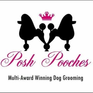 posh pooches grooming