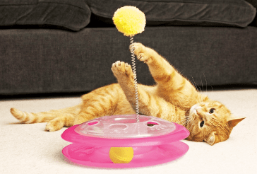 Ancol Acticat Plastic Playground- pet goods online
