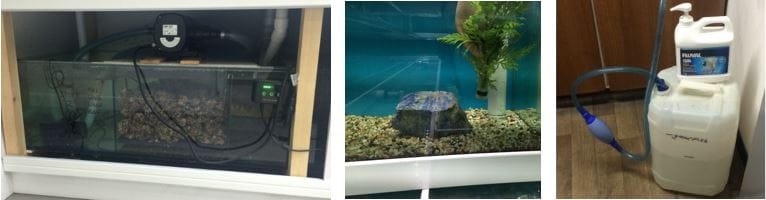 Aquarium