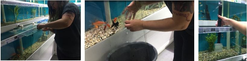 Aquarium