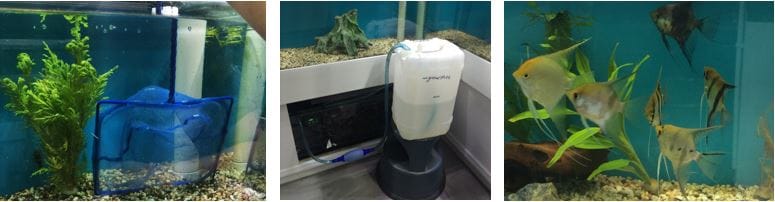 Aquarium