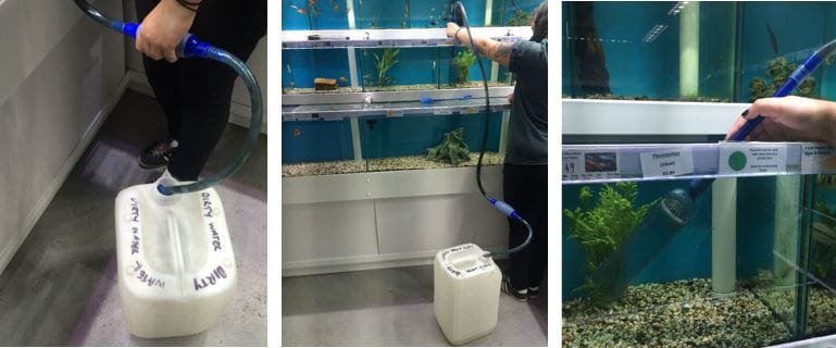 Aquarium
