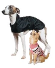 dogs