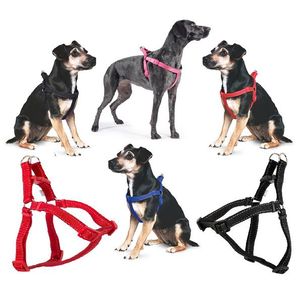 cushioned dog harness