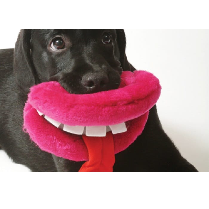 Dogs Know If You Are Frightened