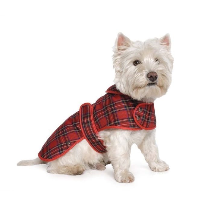 Tartan scotty dog coat