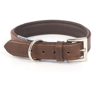 Ancol Vintage Padded Leather Dog Collar