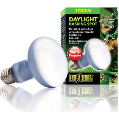 Exo Terra Daylight Basking Spot 100w