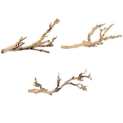 Exo Terra Reptile Forest Branch