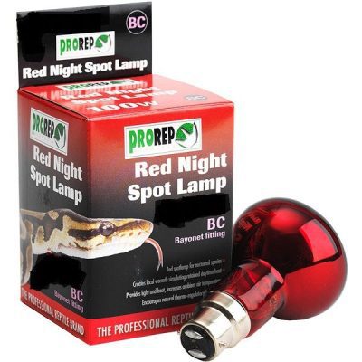 ProRep Red Night Spotlamp (BC) Bayonet