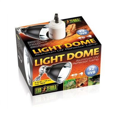Exo Terra Dome Light Fixture - 14CM