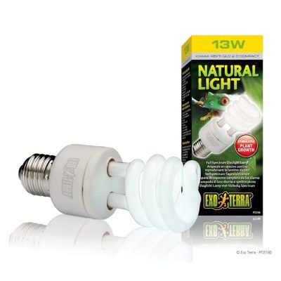 Exo-Terra Natural Light Compact Lamp
