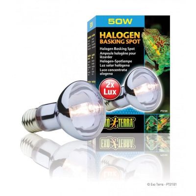 Exo Terra Halogen Basking Spot