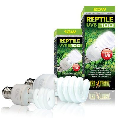 Exo-Terra UVB100 Compact Lamp
