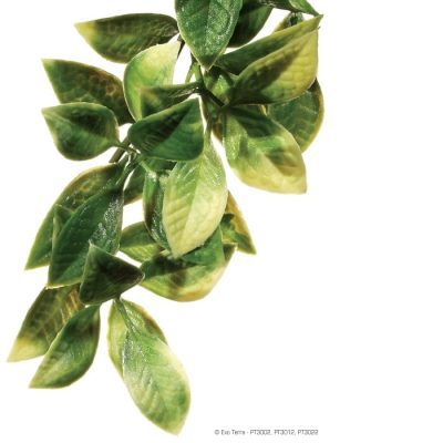 Exo-Terra Amapallo Shrub