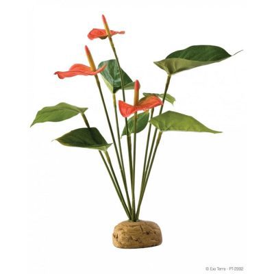 Exo-Terra Anthurium Bush