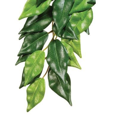 Exo-Terra Silk Ficus Plant