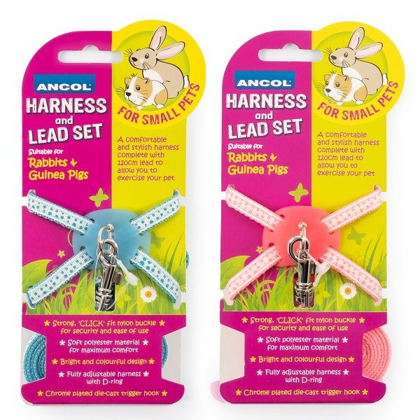 Ancol Rabbit & Guinea Pig Harness & Lead Set