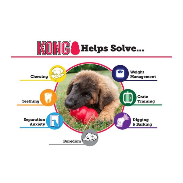KONG puppy solution