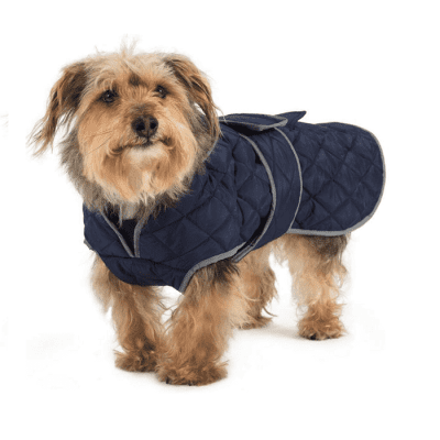 Ancol Navy Blue Quilt Dog Coat