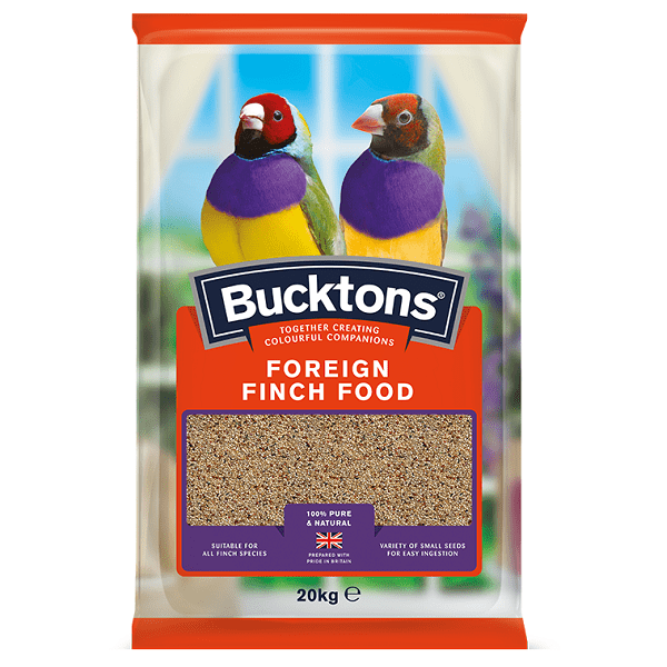 Bucktons Foreign Finch