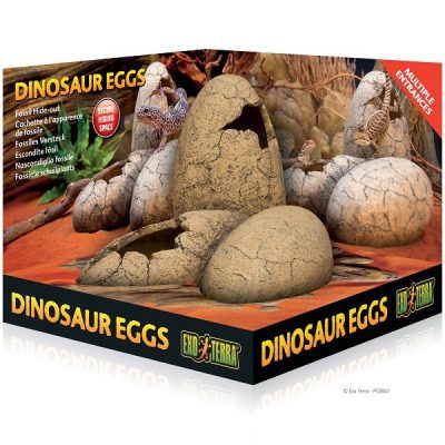 Exo Terra Dinosaur Eggs Fossil Hideaway