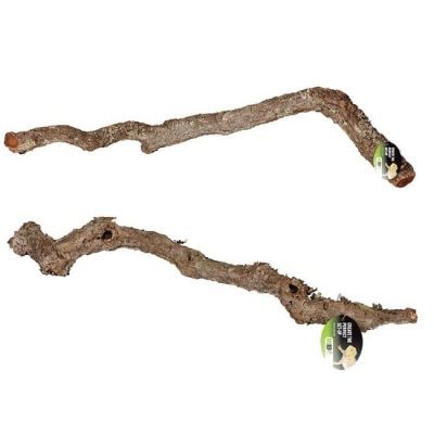 ProRep Cork Oak Branch