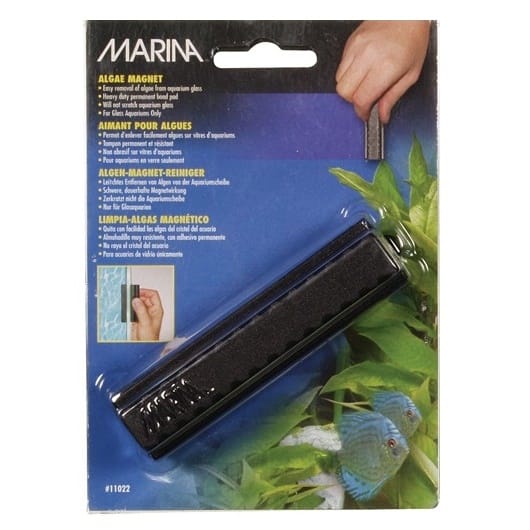 Marina Medium Algae Magnet