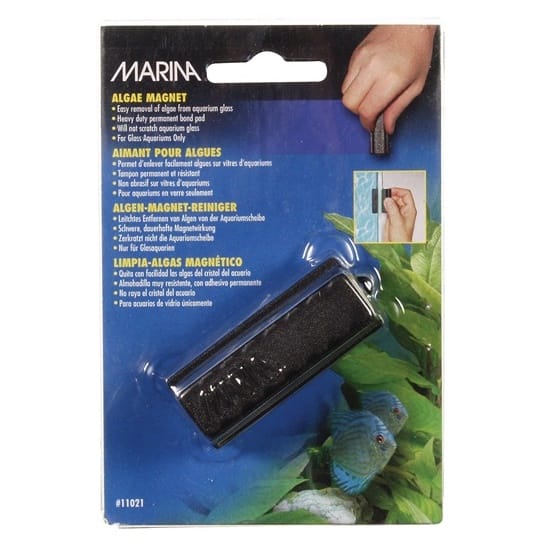 Marina Small Algae Magnet