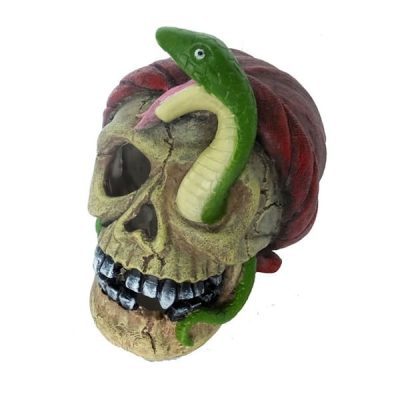 Fish 'R' Fun Pirate Skull & Snake Aquatic Ornament