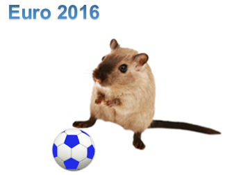 Euro 2016