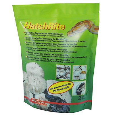 Lucky Reptile HatchRite 2L