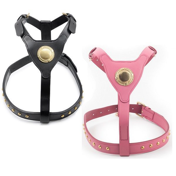 Ancol Deluxe Bull Terrier Leather Dog Harness