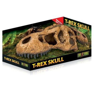 Exo Terra T-Rex Skull Hiding Cave