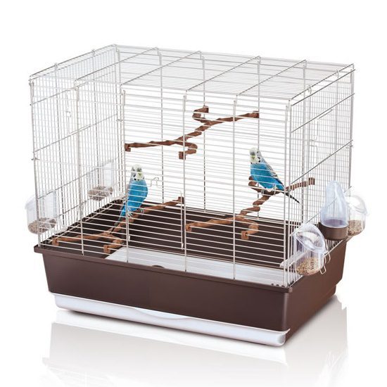 Irene 4 Export Chrome Cage with Brown Base
