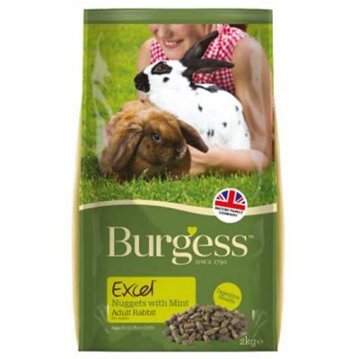 Burgess Excel Adult Rabbit Mint Nuggets 2kg