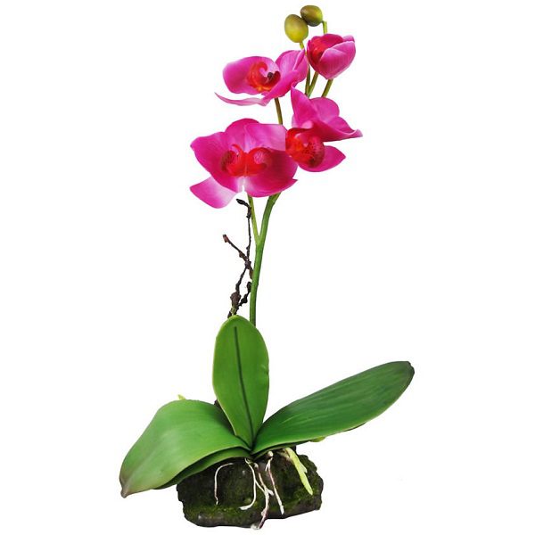 Lucky Reptile Upright Orchid - Pink 30cm