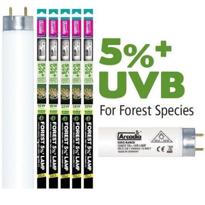 Arcadia Euro-Range Forest 5% UV Tubes