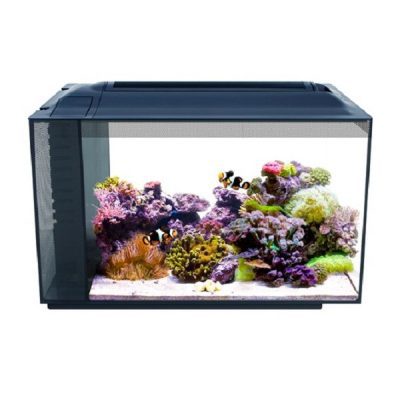 Fluval SEA Evo 52L Aquarium Set