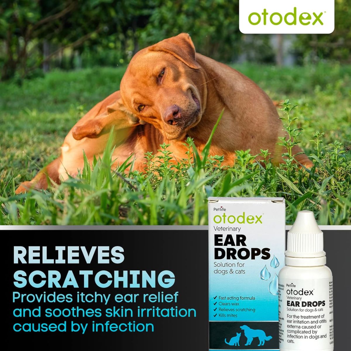 Otodex Ear Drops 14ml for Dog & Cat