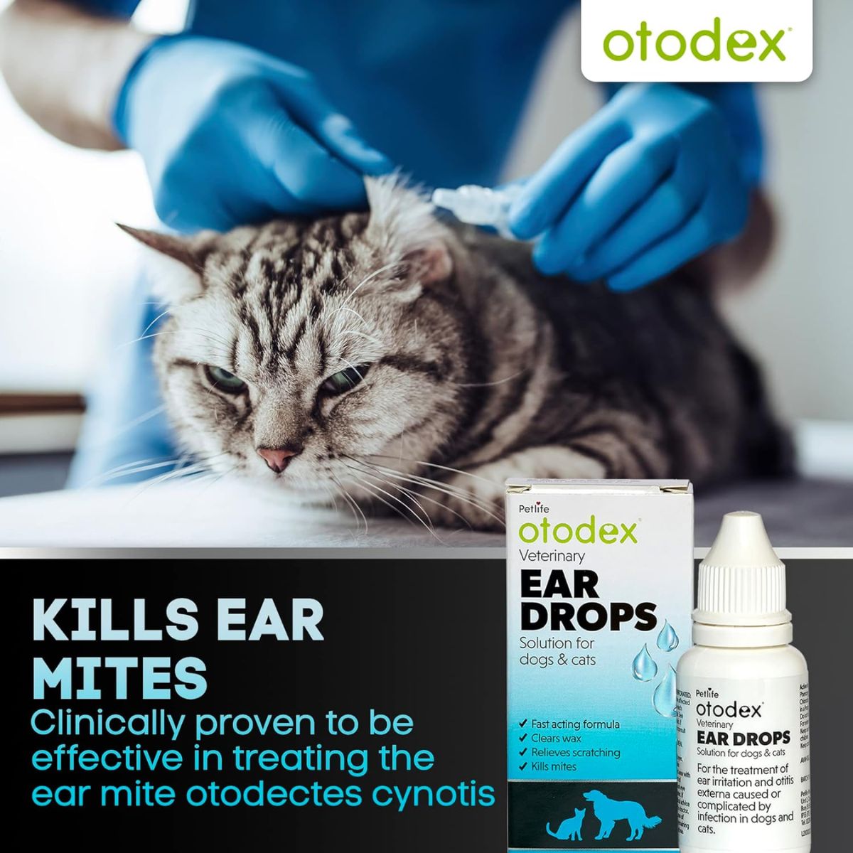 Otodex Ear Drops 14ml for Dog & Cat