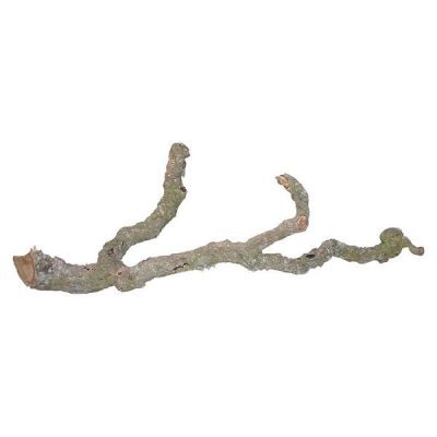 Lucky Reptile Tronchos Branch 60-90cm