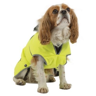Ancol Hi-Vis Stormguard Dog Coat