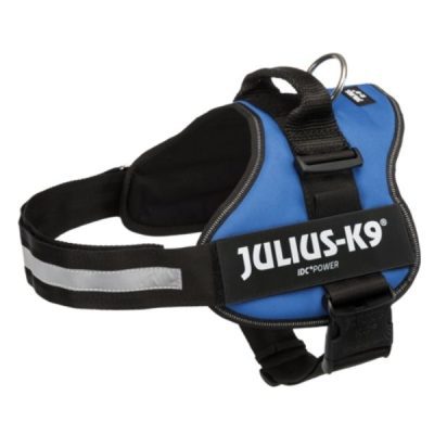 Julius power harness Blue