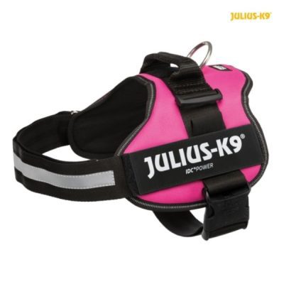 Julius power harness Fuschia