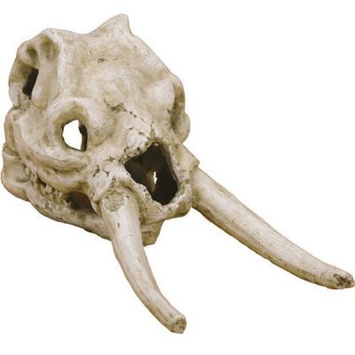 Lucky Reptile Deco Skull Elephant
