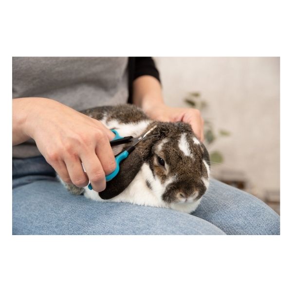 Trixie Face & Paw Grooming Scissors