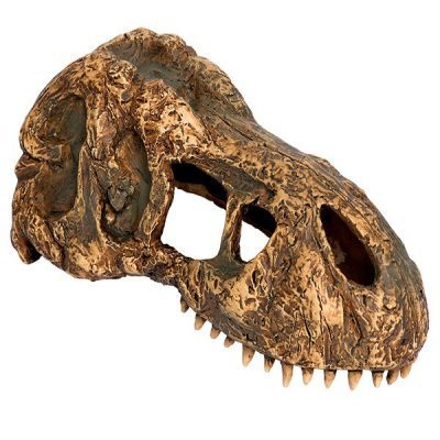 Exo Terra Small T-Rex Skull