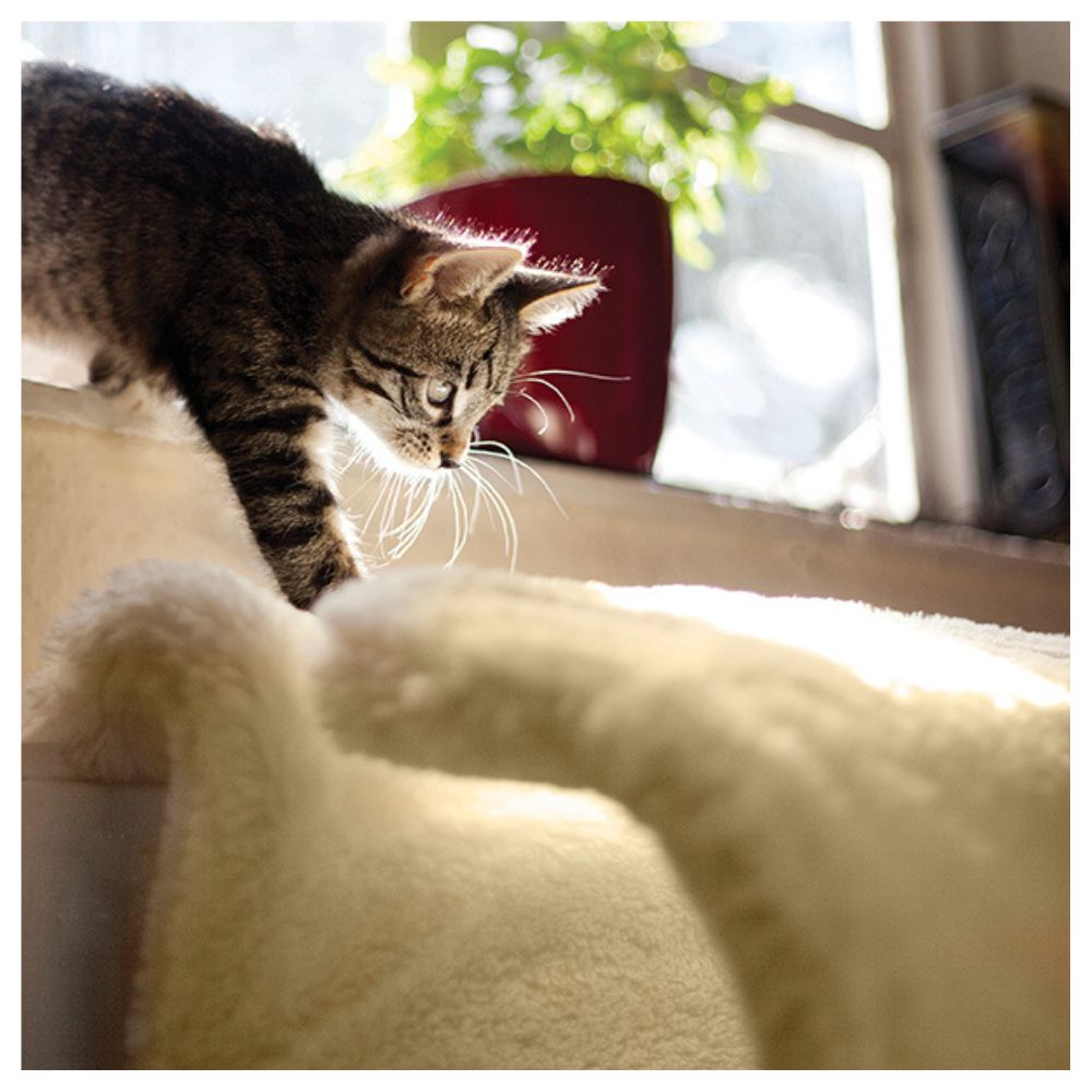 Rosewood Luxury Tunnel Cat Bed