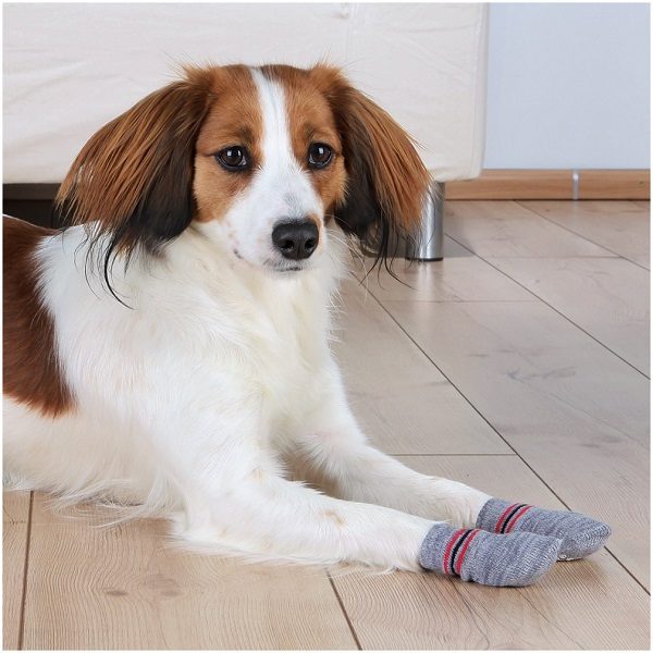 Trixie Non-Slip Dog Socks